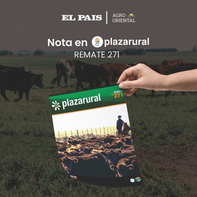 WhatsApp Image 2023-07-24 at 12.17.23