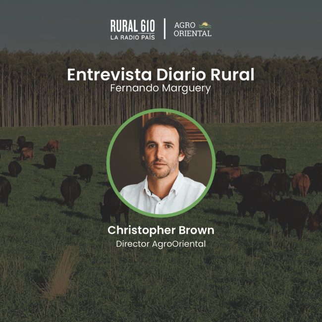 WhatsApp Image 2023-07-26 at 13.05.11