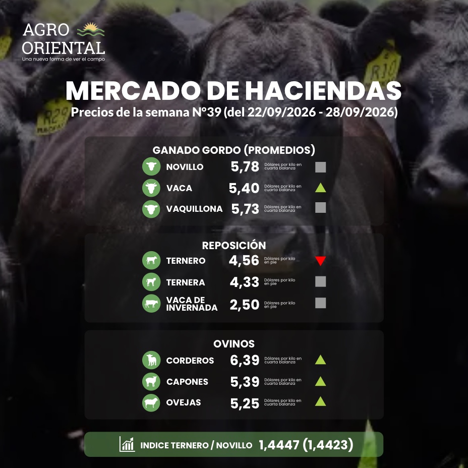 Mercado de Haciendas - Precios de la semana Nº39 (del 22/09/2026 - 28/09/2026)